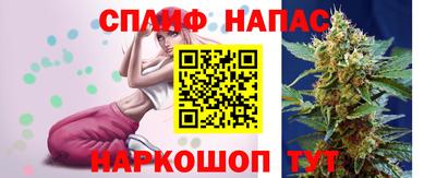 дмт Нальчик