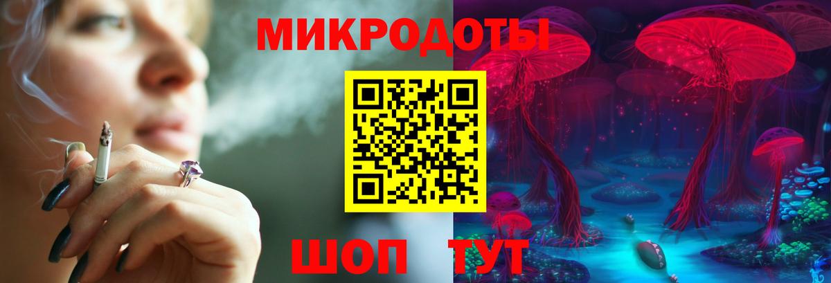 как найти наркотики  Псилоцибиновые грибы ЛСД  Сердобск  Вход с VPN  Псилоцибиновые грибы Psilocybe 